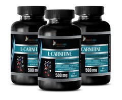 Sodium Element – L-CARNITINE 510mg – Protect Endothelial Cells – 3 Bottles