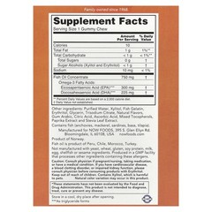 Omega-3 Fish Oil Gummy Chews, Passion Fruit , 36 Gummy Chews