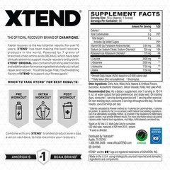 Xtend Original BCAA Powder 7g BCAA 2.5g Glutamine Sugar Free 90 Servings