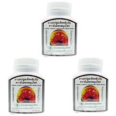 3x Lingzhi Ganoderma Lucidum Reishi Organic Relieve Fatigue Immune Super 100cap