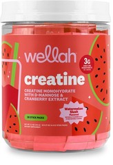 Wellah Creatine for Women (Watermelon Slush) 30 Stick 5.6 Ounce (Pack of 1)