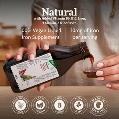 Floradix Floravital Liquid Iron & Vitamin Formula – 8.5 Fl Oz (Pack of 1)