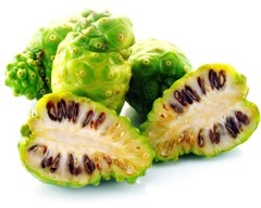 noni fruit powder pill – NONI EXTRACT 500mg – immune booster powder – 1 Bottle