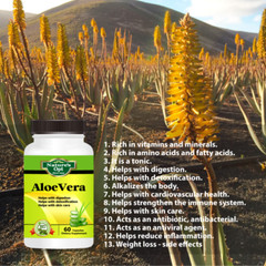 Aloe Vera Extract Capsules, For digestion and detox cleansing, immune support