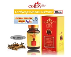 CORDY PLUS Tibetan Cordyceps Sinensis Extract 350mg Improve Immune Sexual Health