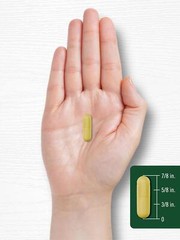Berberine HCL 500 Mg Immune Gastrointestinal Heart Health Weight Loss, 60 Caps