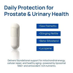 Selerb NAD+ Supplement for Men-With Liposomal-NAD+,CoQ10, L-Carnitine, L-Arginin