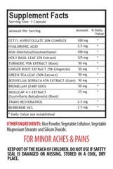 pain terminator – PAIN RELIEF MEGA FORMULA 610MG 3B – antioxidant vitamins