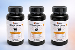 UpWellness Cartilage Revive+ Joint Support 60ct 3 Month Supply 🔥AUTHENTIC!🔥