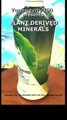 Youngevity360 Plant Derived Minerals Wallach, Ships Free 100% Forever Guarantee