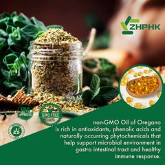 120pcs Oil of Oregano – Carvacrol, Support Digestive, Respiratory, Joint Health