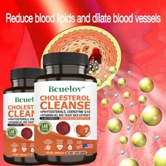 Cholesterol Cleanse Lower Cholesterol Healthy Heart Improve Your Immunity