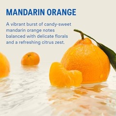 Sugar-Free Electrolyte Powder Drink Mix – Mandarin Orange Flavor | 14 Servings