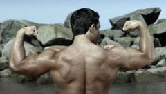 elk velvet muscle recover – ELK VELVET ANTLER 550MG – endurance and energy 1B
