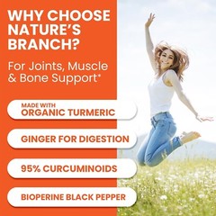 Turmeric Curcumin & Ginger Anti-Inflammatory Supplement – 1965mg Extra Strength