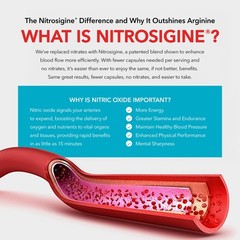 BloodFlow-7 Nitric Oxide Supplement with Nitrosigine