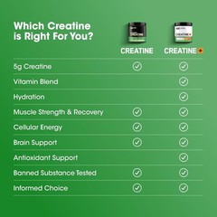 Micronized Creatine Monohydrate – Gluten-Free, 10.6 oz for Optimal Performance