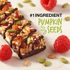 (6 pack) Fruit & Nuts Snack Bar, Dark Chocolate Raspberry Pumpkin Seed