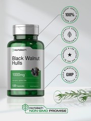 Black Walnut Hulls Capsules | 120 Count | 120 (Pack of 1)