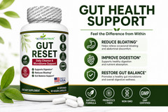 Gut Reset Gut Health Capsules Probiotic Fiber Digestive & Bloating Support