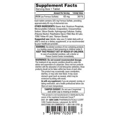Geri-Care Iron Tablet 325 mg 703-01-GCP 1 Bottle 100 per Bottle