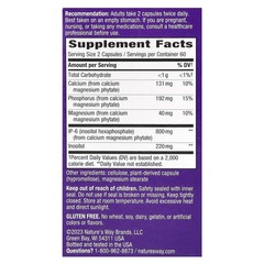 2 X Nature’s Way, Cell Forte, IP-6 & Inositol, 120 Vegan Capsules