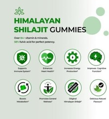 Authentic Himalayan Shilajit Gold Gummies With Organic Honey Men Stamina Health