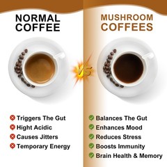 3x Mushroom Coffee Powder Lions Mane Reishi Immunity & Brain Booster 70g