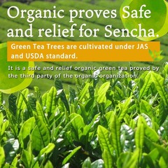 YAMASAN KYOTO UJI Organic Green tea 2.82 Ounce (Pack of 1), green powder