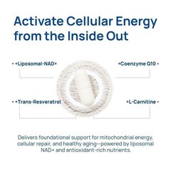 Selerb NAD+ Supplement for Men-With Liposomal-NAD+,CoQ10, L-Carnitine, L-Arginin