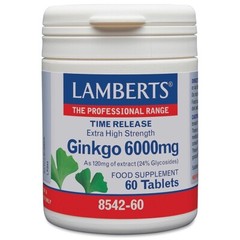 Lamberts Ginkgo 6000mg Tablets (60) BBE 09/2028