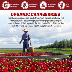 Cranberry Extract Pills 25000mg + Vitamin C Extra Strength Urinary Tract Support