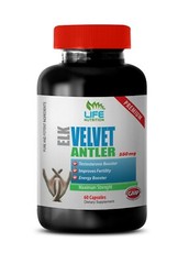 elk velvet muscle recover – ELK VELVET ANTLER 550MG – endurance and energy 1B