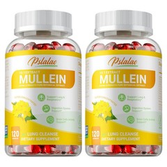 Mullein 240pcs – Promotes Digestion, Supports Lung and Respiratory Health