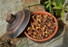 Fresh Organic Perga natural bee 450 g