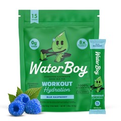 Workout Hydration | 2,960mg Sugar Electrolyte Powder Packets | LGlutamine + V…