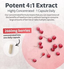 Healths Harmony Hawthorn Berry Capsules for Heart and Digestive Health, 120 ct