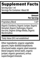 Global Healing Kidney Health Organic Kidney Cleanse & Detox Non-GMO 2 Fl Oz