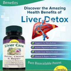 Liver Cleanse Supplements – Support Your Health With The Best Liver Detox