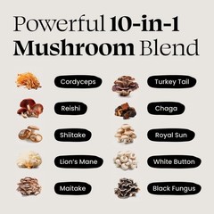 Optimal Prime 10x Mushroom Complex Supplement (90 Caps) Exp:07/28