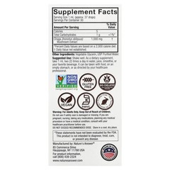 2 X Nature’s Answer, Chaga, Mushroom Extract, Alcohol Free, 1 fl oz (30 ml)