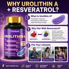 Urolithin A 500mg Healthy Aging Antioxidants Mitochondrial Mitophagy Support 60C