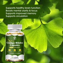 Ginkgo Biloba 500mg Supports Brain Function Memory & Concentration 120 Capsules