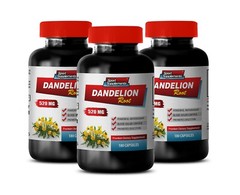 weight loss herbs – DANDELION ROOT 520MG – dandelion extract capsules 3B