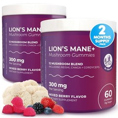 2pk Lions Mane Gummies for Adults and Kids 4+ Mushroom Gummies – Brain & Immune