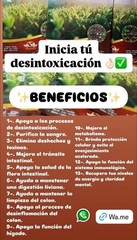 VIDA DIVINA Te Divina AUTÉNTICO 100% ORIGINAL DETOX AND CLEANSE ORGANIC 6 PK