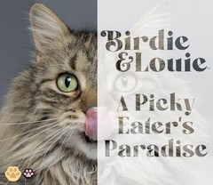 Birdie & Louie Wet Cat Food Chicken and Lamb Pate 3oz (36 Cans)