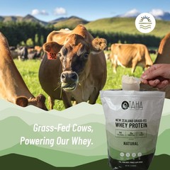 Natural Unflavored Whey Protein Concentrate Powder, 25g Protein, 140 Calories…