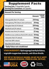 immune support herbs – ASTRAGALUS COMPLEX – holy basil supplement 2 BOTTLE