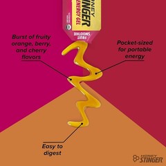 USDA Organic Fruit Smoothie Energy Gel – 12 Pack for Endurance Performance